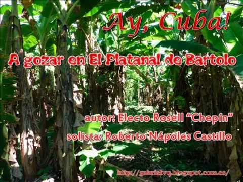 Chepin El Platanal de Bartolo