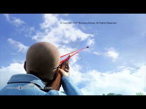 Slowing the Birds Down - Over-the-Shoulder Animation