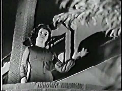 Annette Funicello-Dr Pepper Celebrity Party (1963)