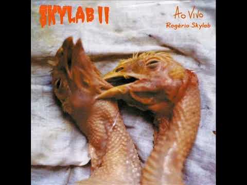 Carne Humana - Rogério Skylab