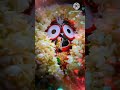 Dhika Jibana Jagannath Status Video Jagannath Bhajan Odia Video Vairal Shorts Video Vairal Video