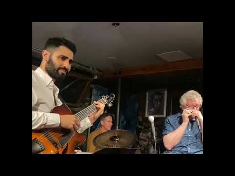 I Can't Get Started - Hendrik Meurkens Quartet (Jazz Harmonica)