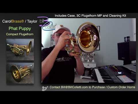 Carol Brass Compact Flugelhorn / Taylor Phat Puppy 2023 - Polished / Lacquered image 22