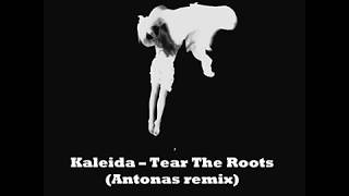 Kaleida - Tear The Roots (Antonas remix)