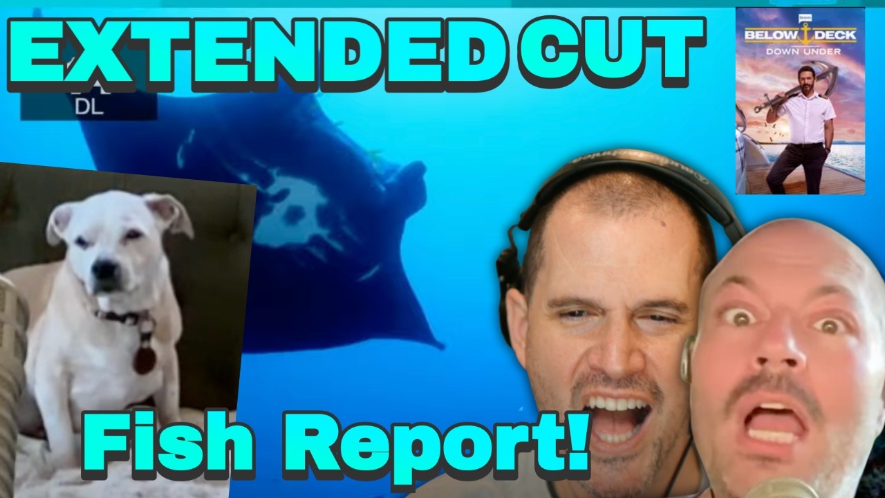 Thumbnail Download HD Thumbnail (1280x720)