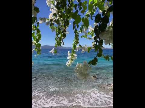 #shortvideo #traval #nature #beautyfullnature