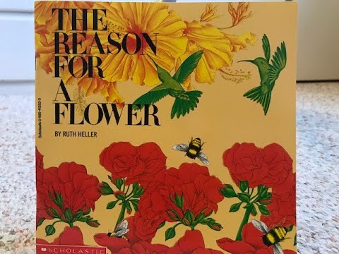 Story Time-  The Reason For a Flower by Ruth Heller