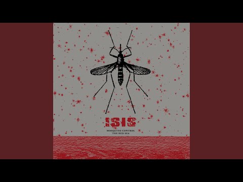 Red Sea video thumbnail
