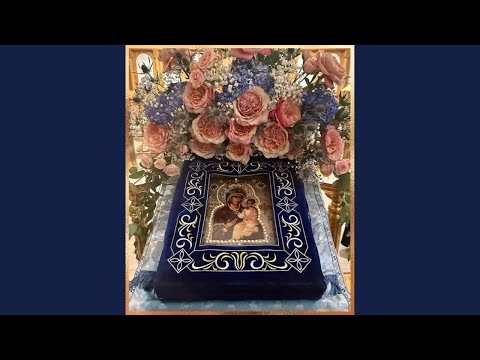 Miercuri, 28 ianuarie 2026 + Moleben cu un Acatist al Icoanei Iveron din Hawaii