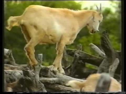 Nora Abrego - Mar del Plata - Mario Alvarez Quiroga - "Aromados Recuerdos"
