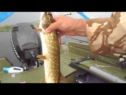 DELTA DUNARII - Pensiunea mea de 1001 nuferi