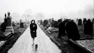 Mark Lanegan Band - Harborview Hospital