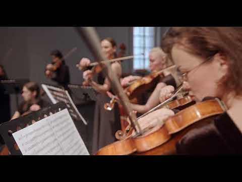 Apollo Nove - Creepy Violins (Video)
