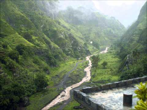 Simentera*-"Codjeta" (Raiz)