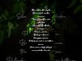 Trendinglyricswhatsupstatus Vennilavevennilave Vennilave Vennilave Song Full Screen Status