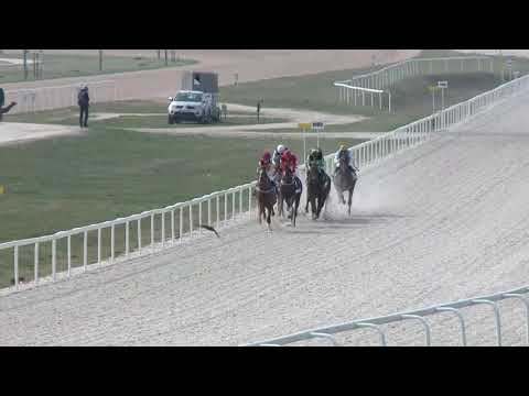 2019.04.07. 03. futam - HÁROMÉVESEK VERSENYE (IV.kat.) (szintetikus pálya)