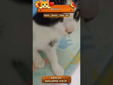 Vídeo de Nanquim