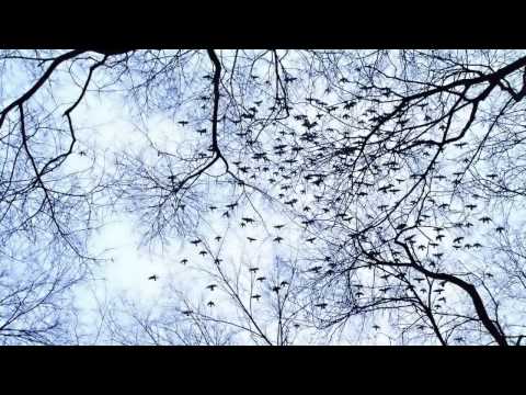 OST Sandglass - Special Others - Tae Soo's Theme (특별한 타인 - 태수의 Theme)