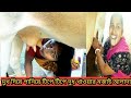 বৌদির হাত ও মুখ দিয়ে পানিয়ে গাভীর দু