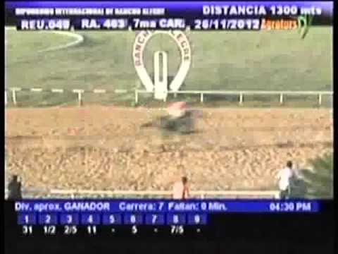 Resumen Lunes, 26 de Noviembre de 2012 - Rancho Alegre