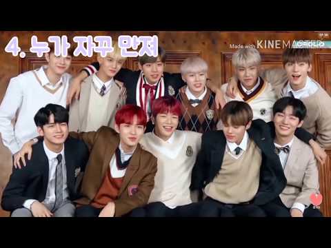 오케워너원EP.39 대유잼 모음#1 (feat. 펙폭셍 )