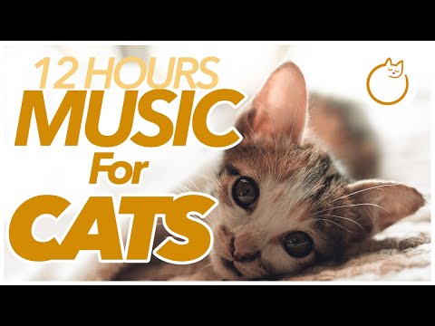 15 HOURS of EXTREMELY Relaxing Music for Anxious Cats