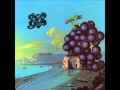 The Place and The Time (Alternate Take) - Moby Grape