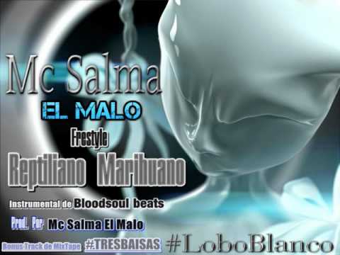 Freestyle Reptiliano Marihuano Mc Salma