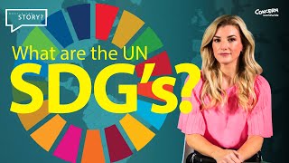 What are the UN Sustainable Development Goals (SDGs) and how do they affect YOU?
