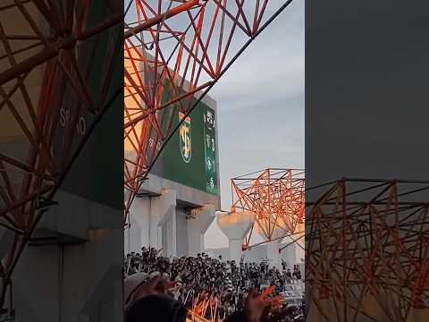 Koreo You Looser Arema From bonek