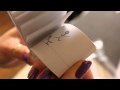 Eloise Flip Books