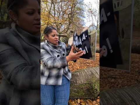 The Great AAA-OOO! By Jonny Lambert