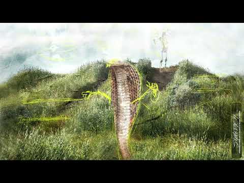 dusy x prodbytwelve x yung vision / SLIMEFACH