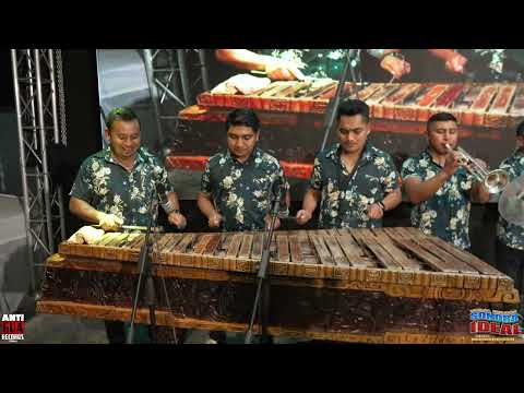 La Cobra / El Trenecito / Cumbia Caliente - Marimba Orquesta Sonora Ideal