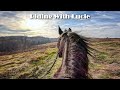 GoPro Hero 11 Virtual Horse Riding With Lucie Trails And Back To The Farm With Special Guest Abby