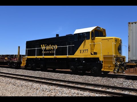 Watco's Diesel Locomotives T376 and T377 gleaming in the sun and off to Perth on 1MP2 6/12/21