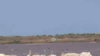 Afrique Adieu Sardou