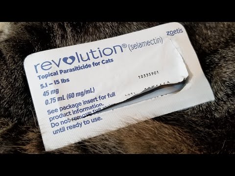 The Best Flea Medicine Ever, Revolution/StrongHold