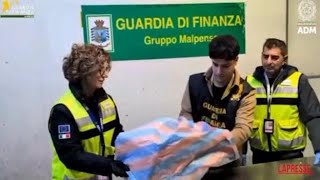 Malpensa, sequestrato nella cargo city dell'aeroporto il cranio di un orso bruno