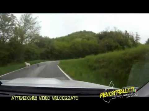 Rally Race Casale 2012 - ANTEPRIMA ps POZZO