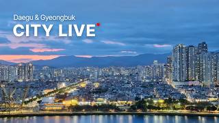 [대구·경북🔴] 합법적 물멍·풍경멍 가능한 실시간 방송 멍~ ☁️Daegu Gyeongbuk Live live webcam