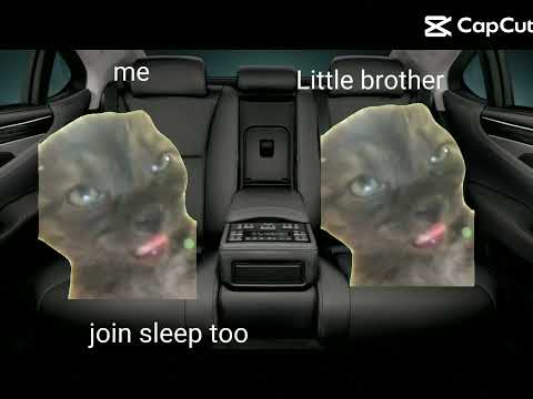 Idk what to say and enjoy😊 || #freepalestine #capcut #memes #cat