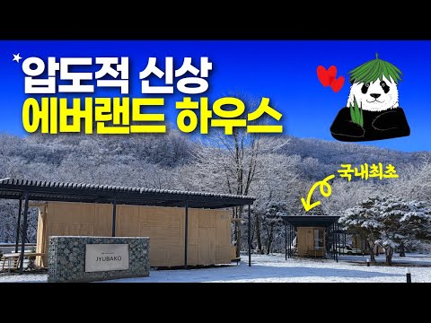 에버랜드 신비의 숲, 프리미엄 캠핑 리조트 꿀팁 공개!