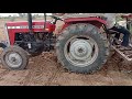 Massey Ferguson 241 With Caltivetar Sesame Farming In Rajasthan Til Ki Kheti