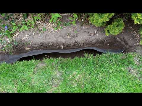 Blocking bamboo afterwards | Root barrier | Rhizome barrier 👊 - NewWonder555