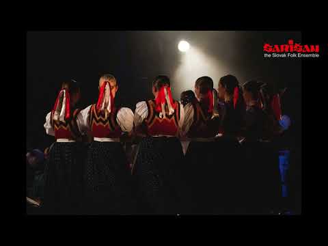 ĽH Šarišan - Viľeceľi lastovički