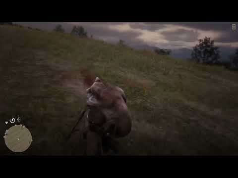 Red Dead Redemption 2 tiger 🐅🐯  cougar