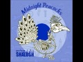 Midnight Peacocks - Insomnia [Shalosh, 2008]