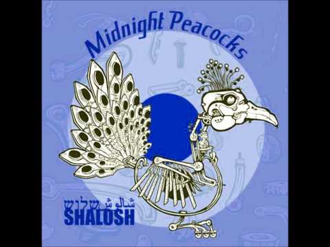 Midnight Peacocks - Insomnia [Shalosh, 2008]
