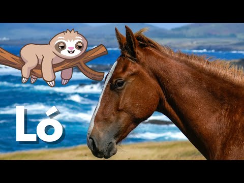 A Ló | Állatok gyerekeknek | Ismeretterjesztő videó | Állatvilág